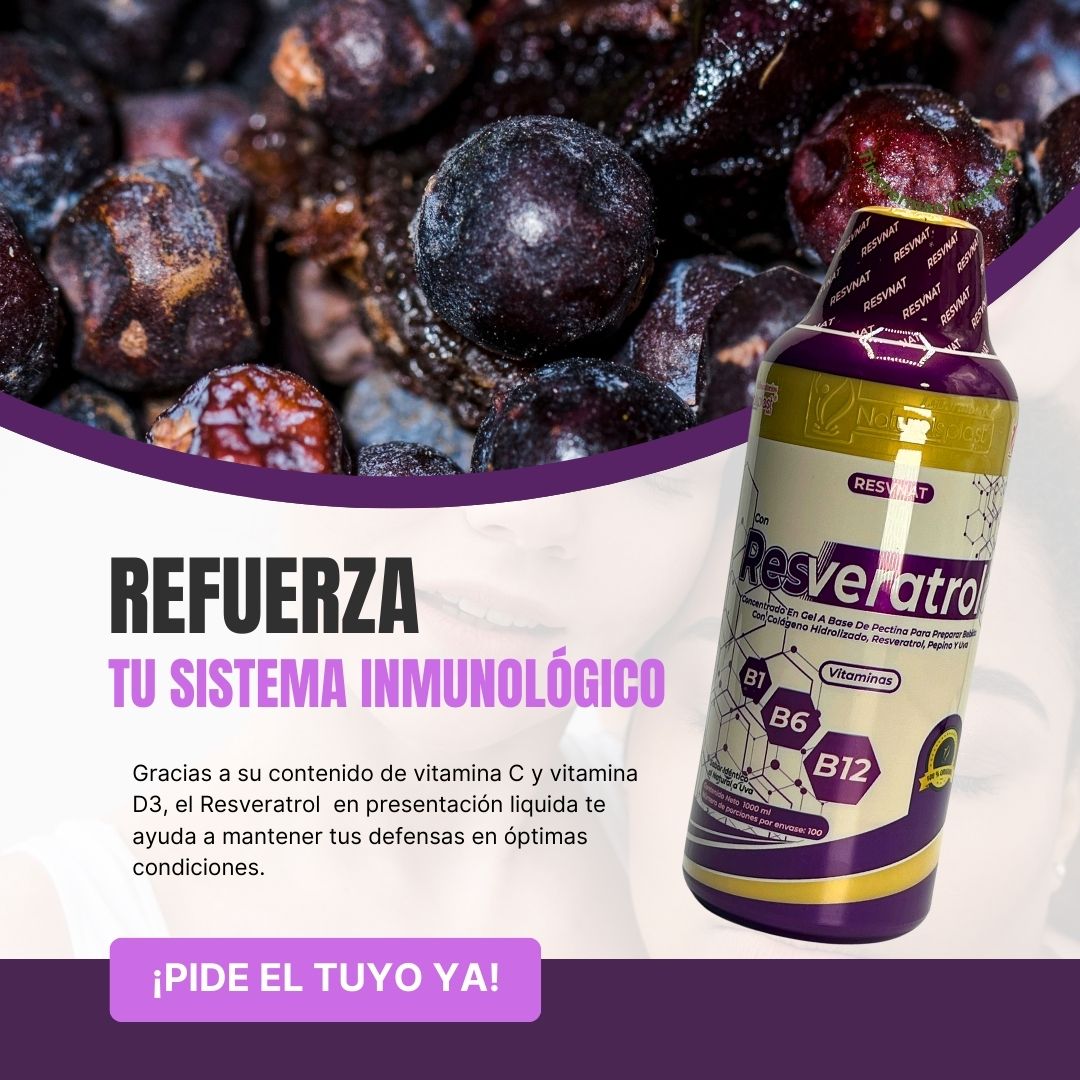 RESVERATROL NATH X 1000 ML NH